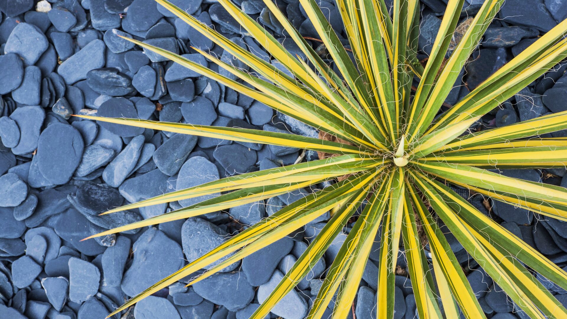 consulenza agronomica milano consulenza agronomica milano