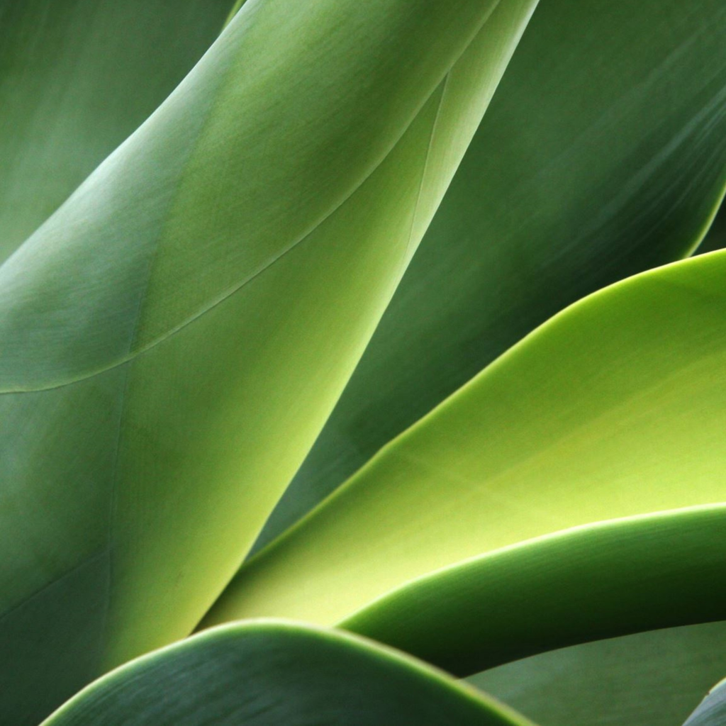 garden design milano