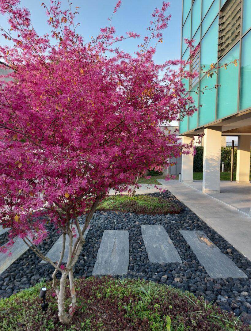 Garden Designer Milano giardino pensile privato o aziendale