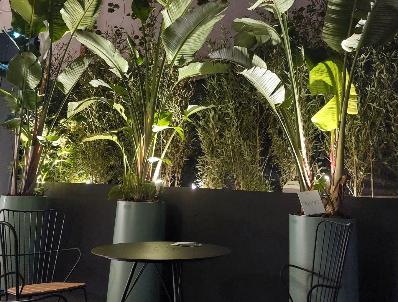 Garden Designer Milano per hotellerie, contract e spazi commerciali