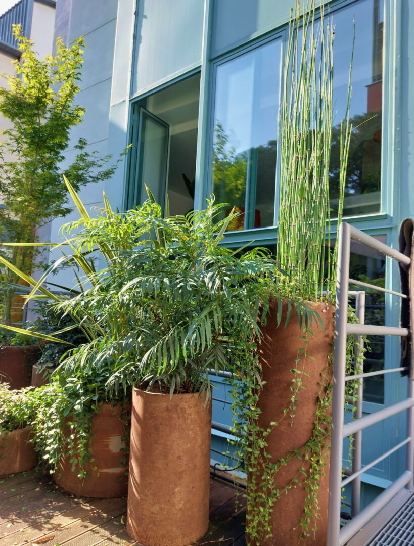 luxury garden progettazione civili e industriali - 3