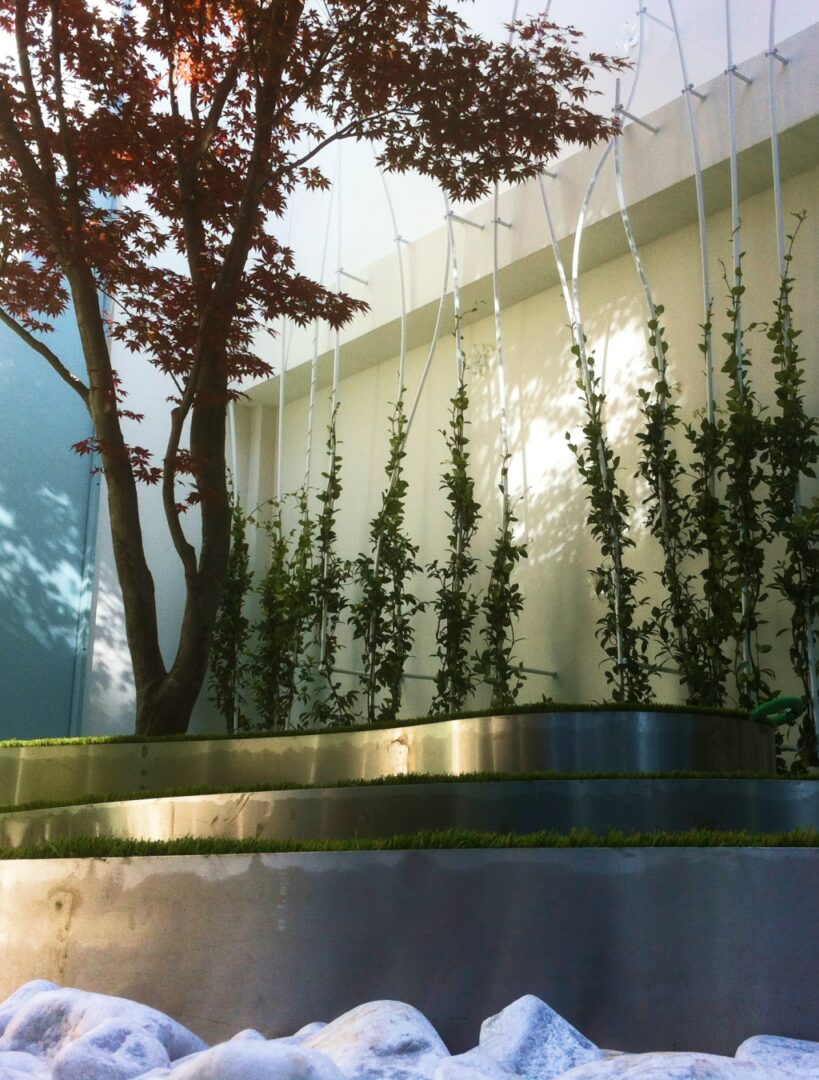 luxury garden progettazione civili e industriali - 4