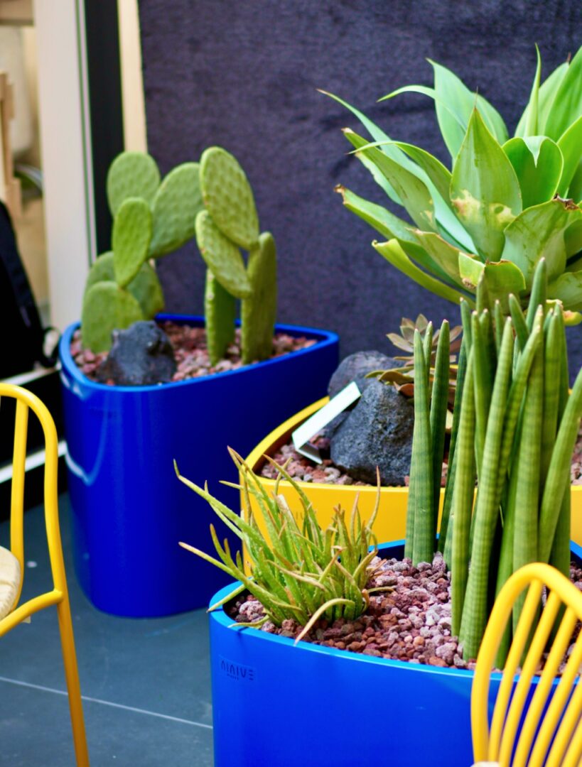 progettazione giardino contract hotellerie - 2