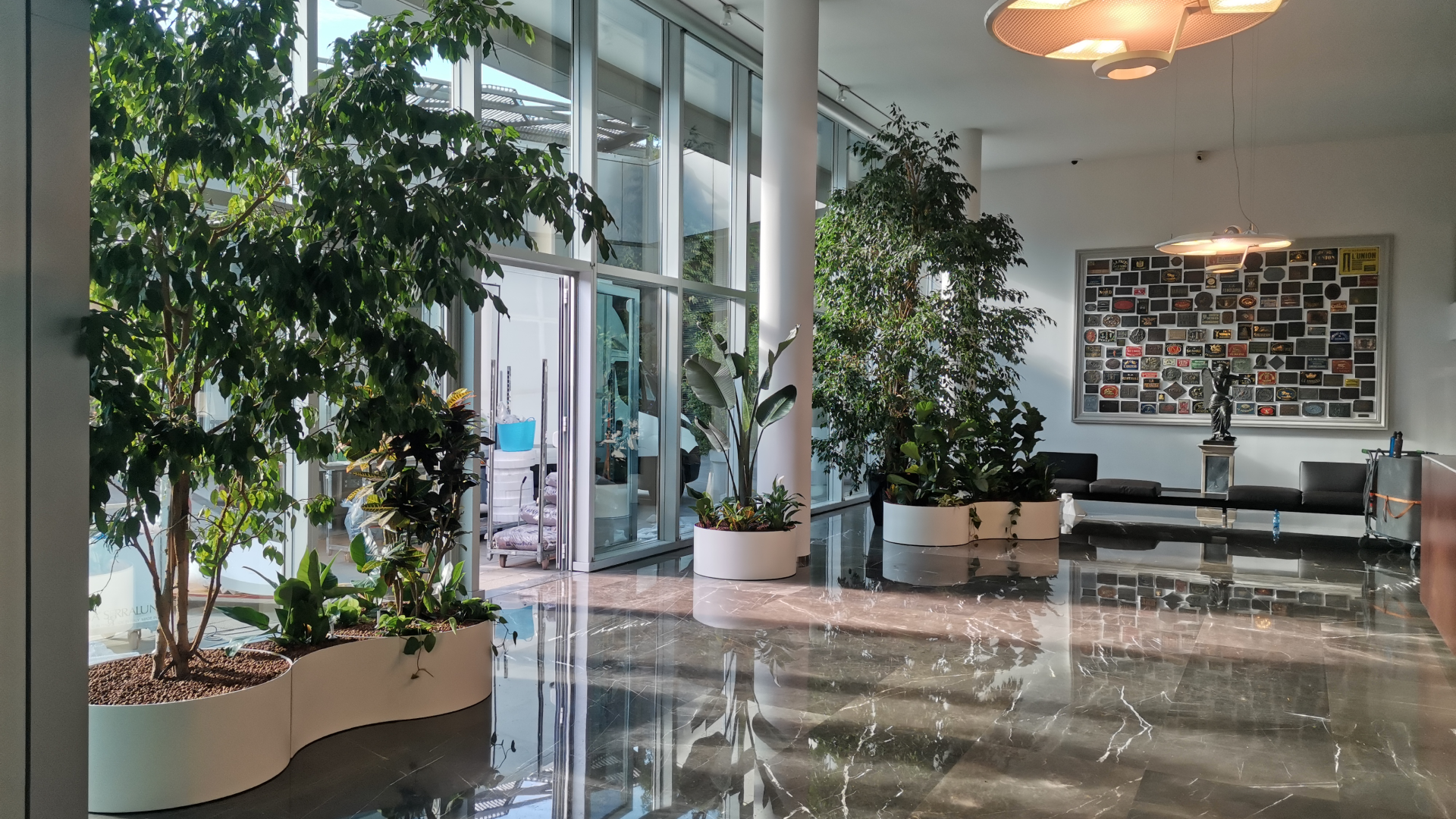 progettazione giardino uffici e showroom progettazione giardino uffici e showroom