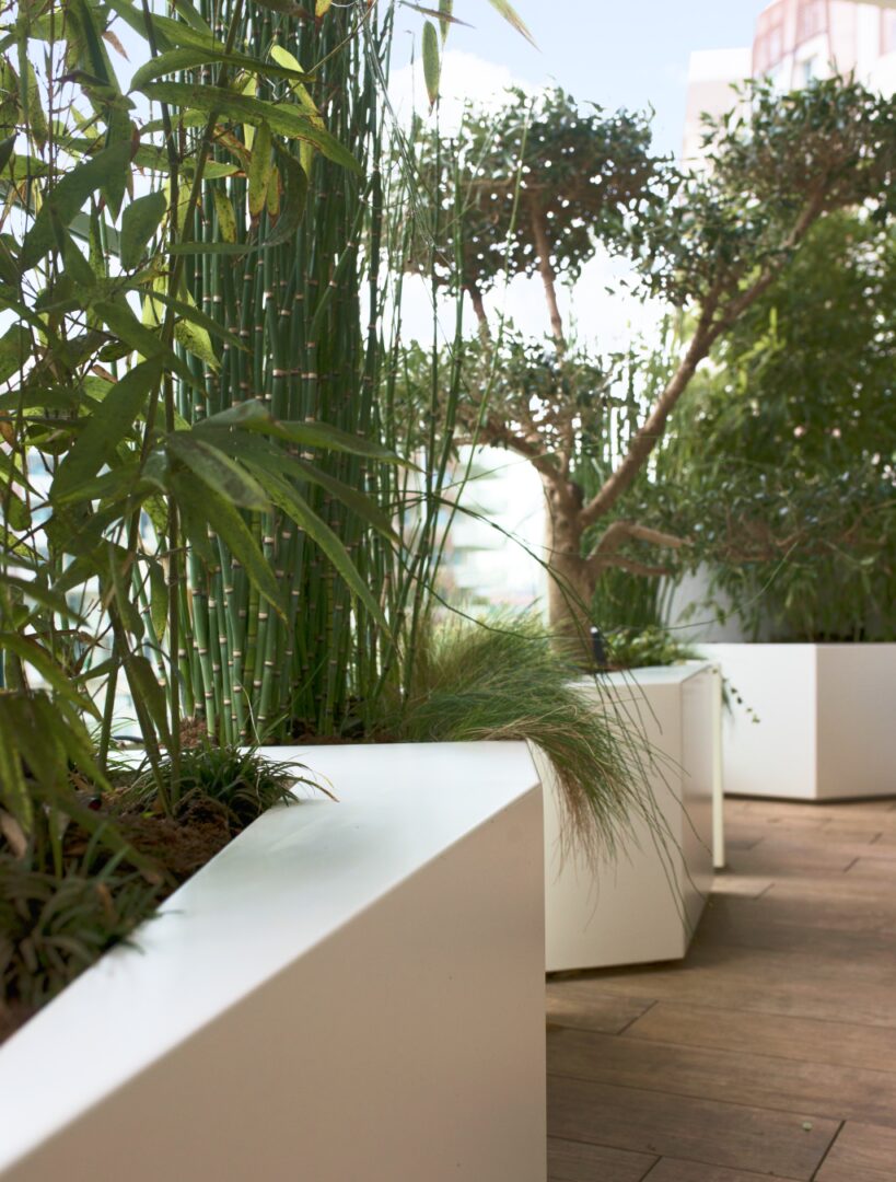 progetti giardini e terrazzi pensili milano