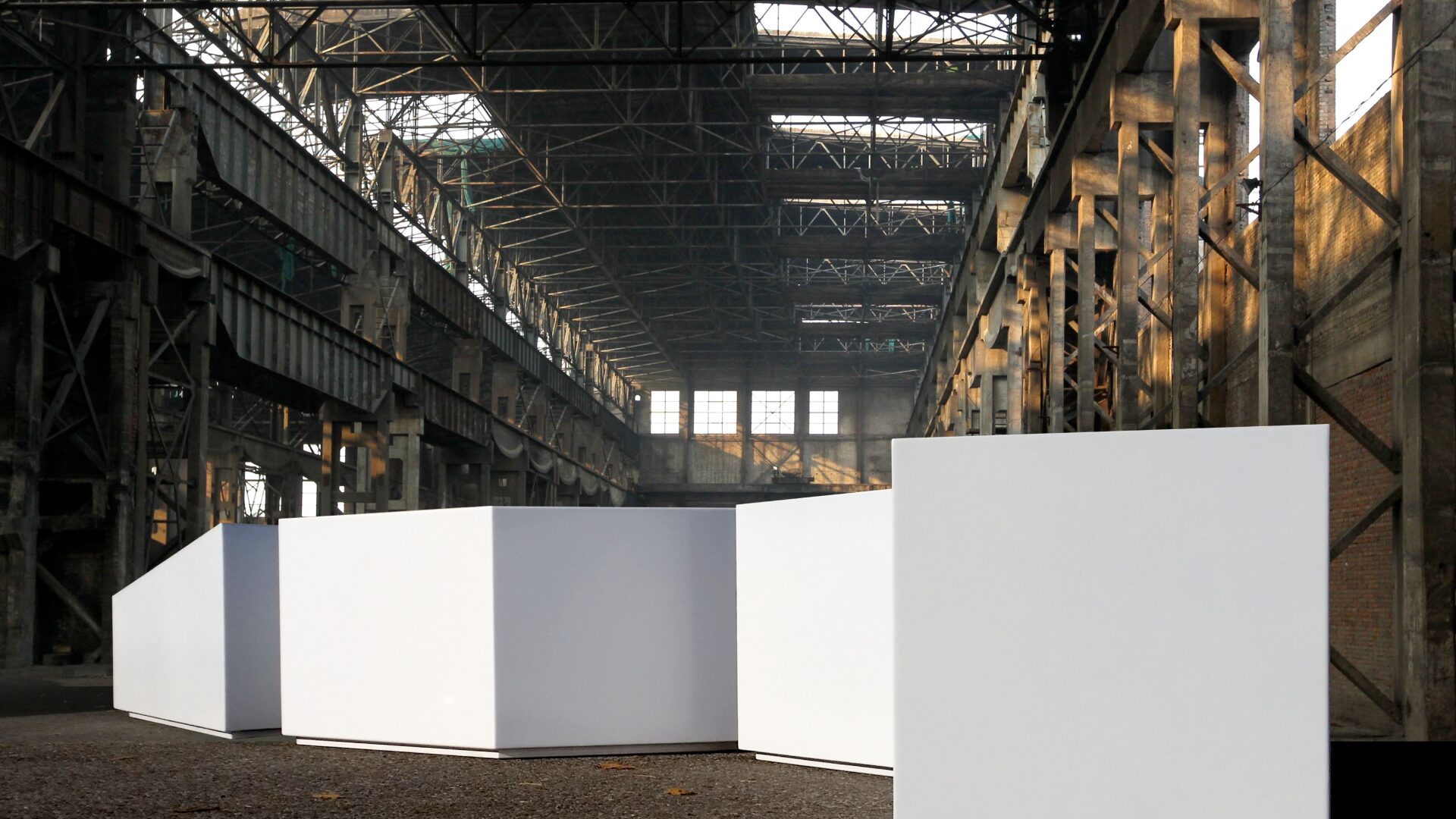 progetto arredamento piante da esterno progetto arredamento piante da esterno