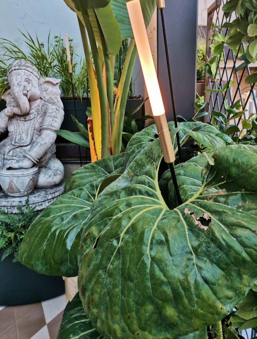 tipologie e ambientazioni progetti di garden design per terrazzi