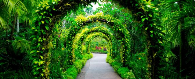 Progettazione Giardino Botanico Milano