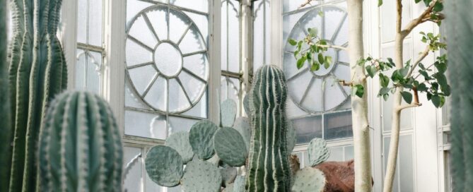 progettazione giardino invernale milano