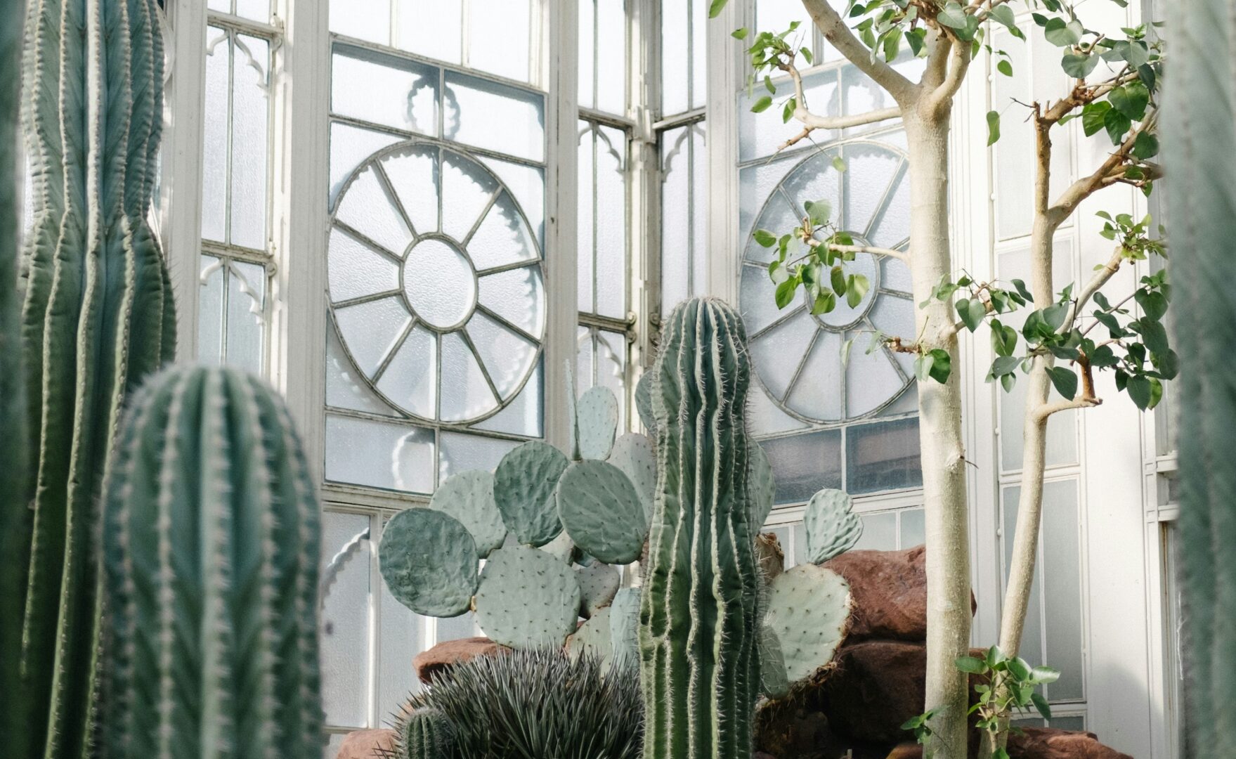 progettazione giardino invernale milano