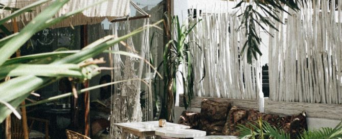 progettazione giardino tropicale ninive design