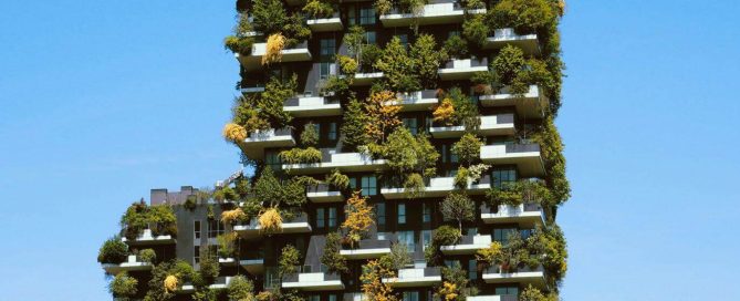 progettazione giardino verticale ninive design