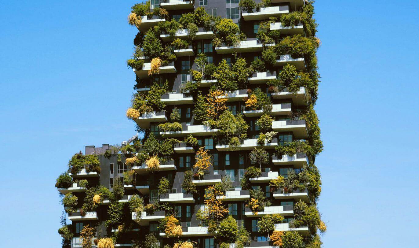 progettazione giardino verticale ninive design