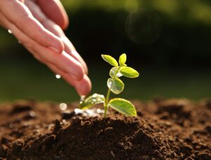 serviziprogettare-impianto-irrigazione-milano-1