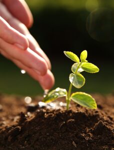 Progettazione impianti irrigazione per giardini pensili terrazzi milano