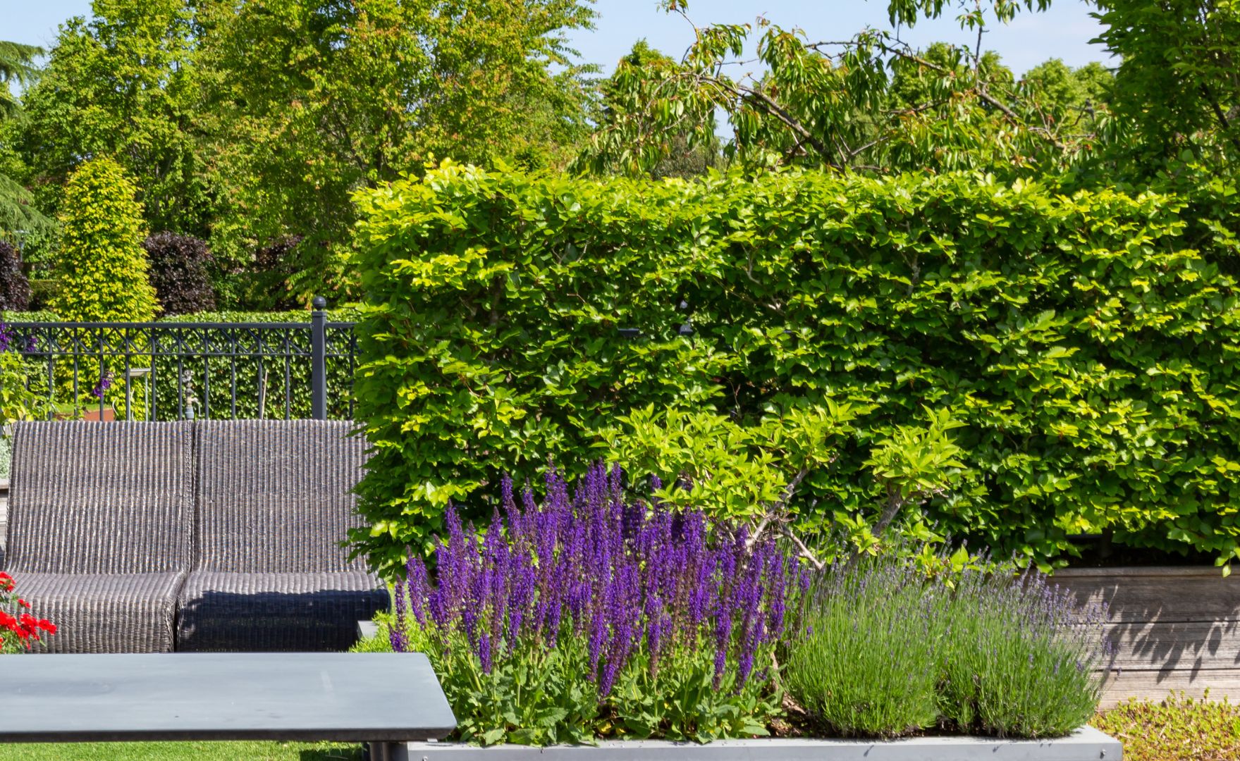 progettazione giardino pensile babilonese