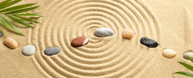 progettazione giardino zen