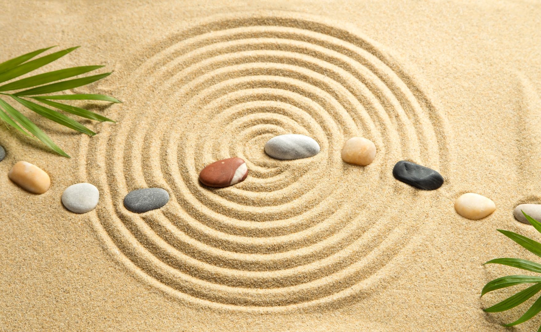 progettazione giardino zen