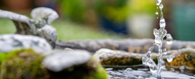 Normative e incentivi giardini pensili Milano ninive design