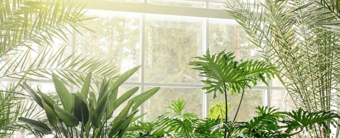 Progettazione giardino per open space